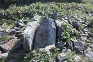DOLMEN  VENTA  DE  ZARATE