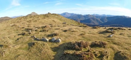 Katillegiko lepoa hego