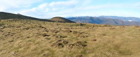 Katillegiko lepoa hego