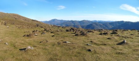 Gorospilgo lepoko harrespilak