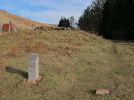 IRAZAKO (Bagoiltako lepoa)