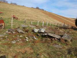 IRAZAKO (Bagoiltako lepoa)