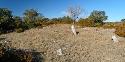 Induriaga 5 harrespila