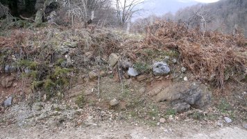 Bideak eragindako ebakia