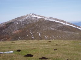 Oderiaga Usotegietatik