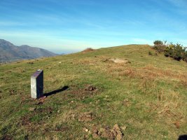 ETXEBERRIKO ARDI BORDA