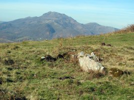 ETXEBERRIKO ARDIBORDA