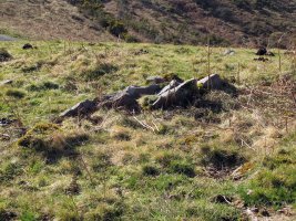 ETXEBERRIKO ARDIBORDA