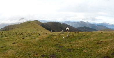 Aizalegiko harrespila eta Meatzetako bizkarra