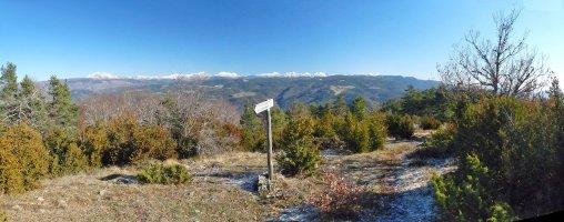 Kartela Espartzako bidean