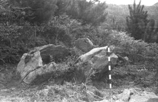 Jesus Elosegiren argazkia