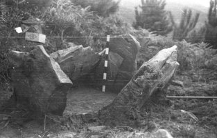 Jesus Elosegiren argazkia