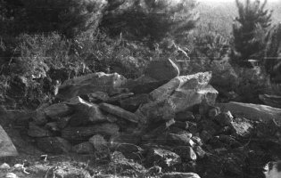 Jesus Elosegiren argazkia