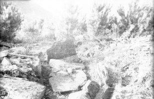 Jesus Elosegiren argazkia