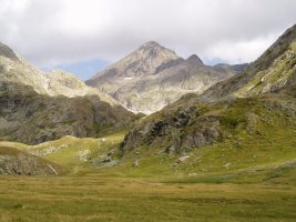 Campoplanotik ikusita