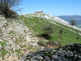 Lizarragako mendatetik heldu den bidea