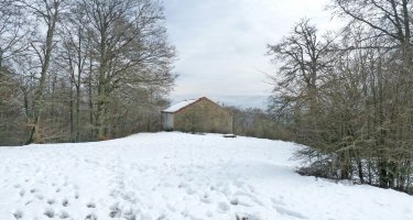 San Migelgo baseliza