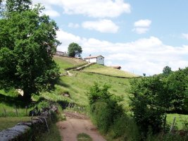 Nahigabeetako Amabirjina