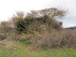 San Pedro Martir ermita Irañetan