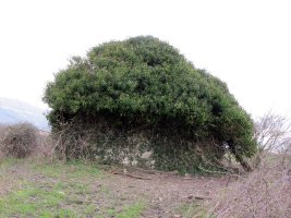 San Pedro Martir ermita Irañetan