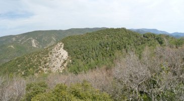 Boyeral Txurrikotik (Tres Mugas)