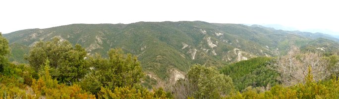 Zarikietako gain nagusiak Boyeraldik