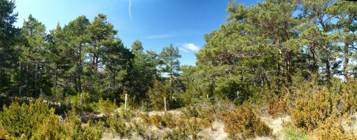 Nafarroa eta Aragoi arteko mugako txarrantxa