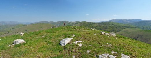 Lupuzuriko harrespila