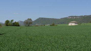 Ermita soroen artean