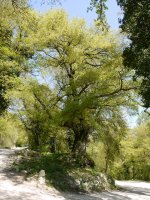 Zentinela Zudaire aldean