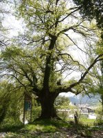 Zentinela Zudaire aldean