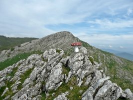 Albortako Tontorra.Atzean,Ttutturre