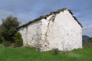 Hormak zartatzen hasita daude