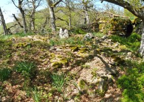 Etxoltxarraldea 2 ekialde