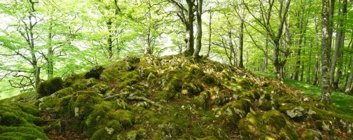 Armaltxuriko gailurra