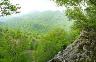 Paisaia mugatu baina ederrak Armaltxuritik