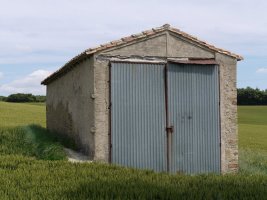 	San Pedro ermita Uterga aldean