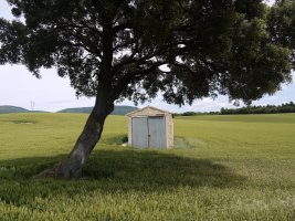 San Pedro ermita Uterga aldean