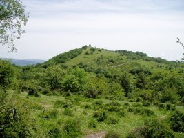 Mendebaldetik ikusita