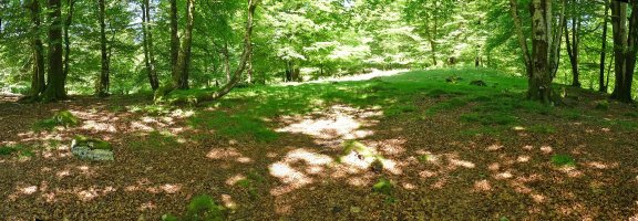 Bidakorriko lepoa C1 harrespila