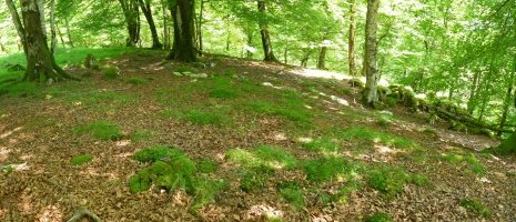 Bidakorriko lepoa C3