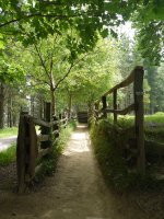 Bolatokia ermitaren aldamenean