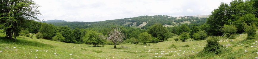 Lubierri eta Tximua artean