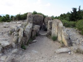 Farangortea trikuharria