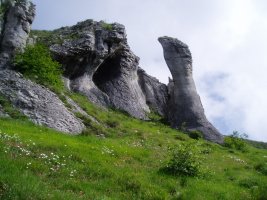 Lerdanoko Hatzamarra