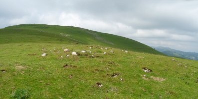Elorrixaaleako tumulua
