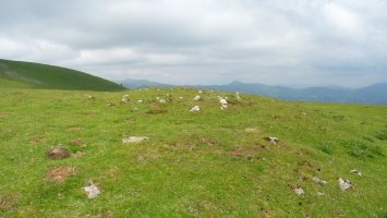 Elorrixaaleako tumulua