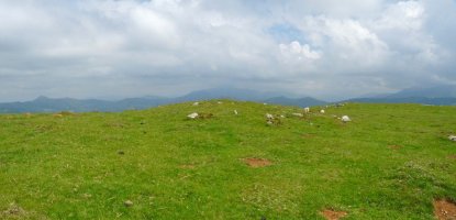 Elorrixaaleako tumulua