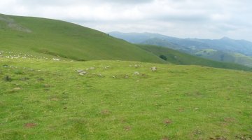 Beardegiko gaineko harrespila