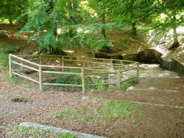 Los Mosquitos iturria